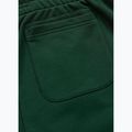 Men's shorts Pitbull Badger hunter green 8