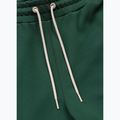 Men's trousers Pitbull Nexus Track bottle green 7