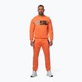 Men's sweatshirt Pitbull USA Crewneck Sweatshirt fluo orange 2