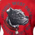Men's sweatshirt Pitbull Strenght & Respect Sweatshirt Hooded red 4