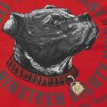 Men's sweatshirt Pitbull Strenght & Respect Sweatshirt Hooded red 9