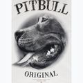 Men's sweatshirt Pitbull Midnight Sweatshirt Hooded off white 9