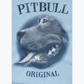 Men's sweatshirt Pitbull Midnight Sweatshirt Zip Hooded sky blue 9