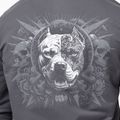 Men's sweatshirt Pitbull World Sweatshirt Zip Hooded graphite 5