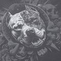 Men's sweatshirt Pitbull World Sweatshirt Zip Hooded graphite 11