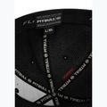 Men's baseball cap Pitbull Full Cap Tyrian Flexfit black 6