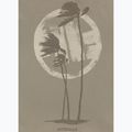 Men's T-shirt Pitbull Palms light grey harbour 7