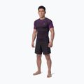 Men's rashguard Pitbull Belt Rashguard purple 2