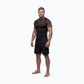Men's rashguard Pitbull Belt Rashguard brown 2