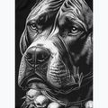 Men's long sleeve rashguard Pitbull Blacky Rashguard 8