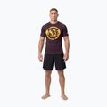 Men's T-shirt Pitbull Rashguard Logo Palms brown 2
