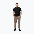 Men's trousers Pitbull Small Logo HD Track coyote brown 2