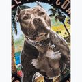 Women's T-shirt Pitbull Beach Girl black 11