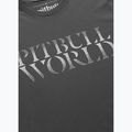 Men's T-shirt Pitbull World graphite 4