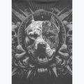 Men's T-shirt Pitbull World graphite 5