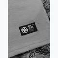 Men's T-shirt Pitbull Avenue grey 8
