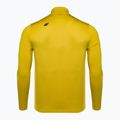 Men's thermal top 4F BIMD030 lemon 3