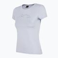 Women's trekking t-shirt 4F blue H4Z22-TSD016 2