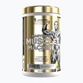 Pre-workout supplement Fitness Authority Levrone Gold Maryland Muscle Machine 385 g fruit punch