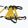 Gymnastics ladder Body Sculpture Power BB 2403 black/yellow 2