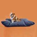 Inmoless ultrasonic flea and tick repellent black 5