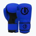 Boxing gloves Octagon Legion Enforcer + bag dark blue 2