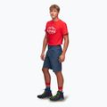 Alpinus Ferrera men's trekking shorts navy blue 2