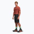 Men's trekking shorts Alpinus Ferrera black 2