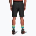 Men's trekking shorts Alpinus Ferrera black 3