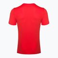 Alpinus Skilbrum men's t-shirt red 7