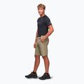 Men's trekking shorts Alpinus Terminio olive 2