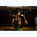DBX BUSHIDO "HAWK" boxing gloves Active Clima black and gold B-2v17 12