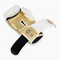 DBX BUSHIDO Hammer white boxing gloves B-2V19 7