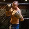 DBX BUSHIDO "Gold Dragon" boxing gloves gold/black 8