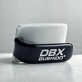 Boxing iron DBX BUSHIDO Ferro black/silver 5