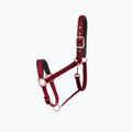 FERA Equestrian Basic horse halter red 4.15.