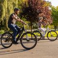 EcoBike MX300 Greenway electric bike black 1010307 25