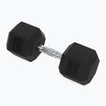 XTREXO Hex HXD250 rubberised dumbbell 25 kg