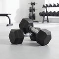 XTREXO Hex HXD250 rubberised dumbbell 25 kg 3