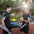 HEAD Tour tennis balls 4 pcs. 4