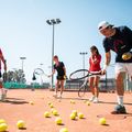 HEAD Tour tennis balls 4 pcs. 6