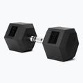 XTREXO Hex 32.5 kg rubberised dumbbell