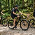 ATTABO E-ALPE 2.0 29" electric bike 36V 14.5Ah 504Wh black 4
