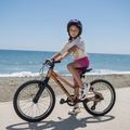 Children's bicycle ATTABO RASH 20" copper 14