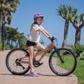 Children's bicycle ATTABO RASH 24" copper 14