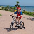 Children's bicycle ATTABO KNACK 16" silver 11