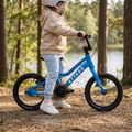 Children's bicycle ATTABO EASE 14" blue 6
