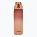 XTREXO Haust 1000 ml bottle brown