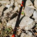 KADVA Tengri adjustable trekking poles red 13
