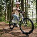 Children's bicycle ATTABO EASE 20" 9,1 kg silver 7